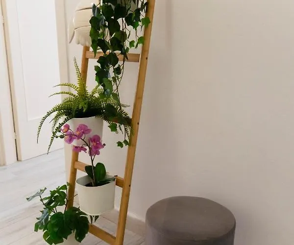 Cielo Mare Apartment