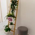 Cielo Mare Apartmán